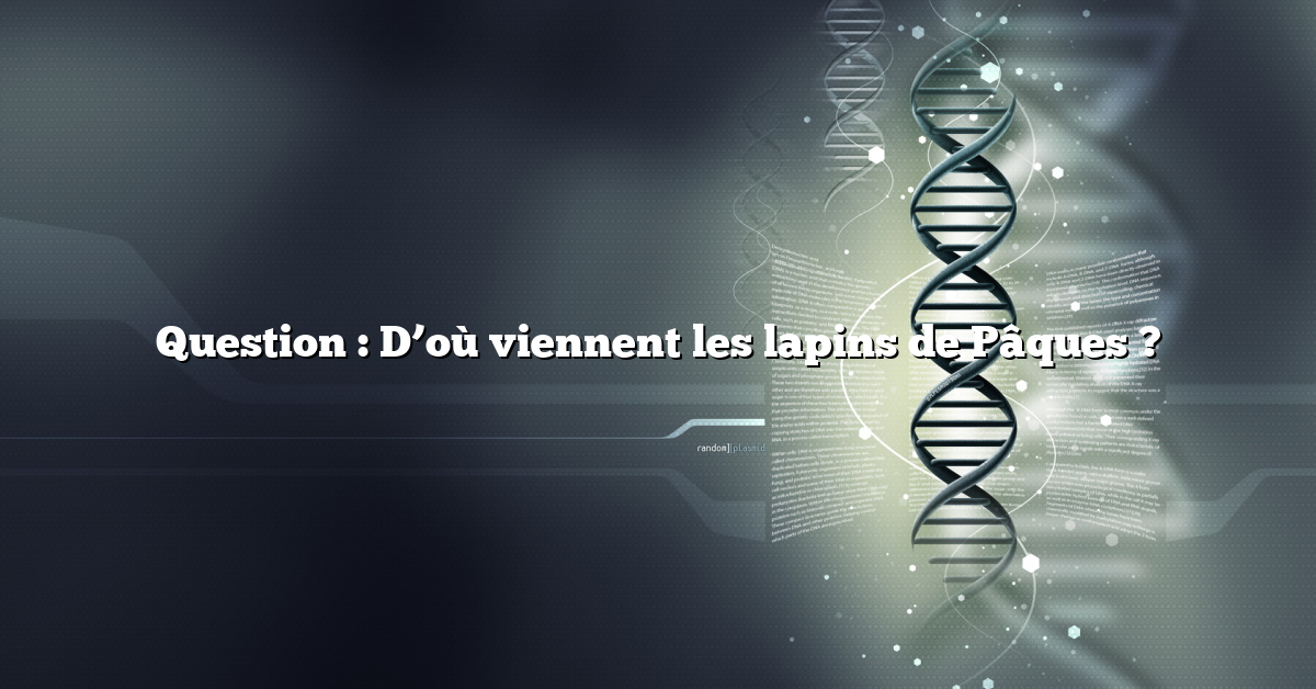 Question : D’où viennent les lapins de Pâques ?